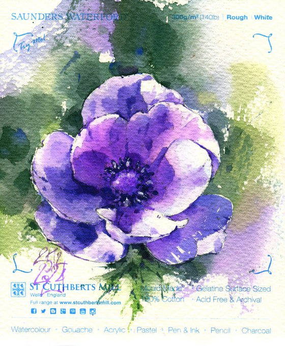Purple light. Anemone