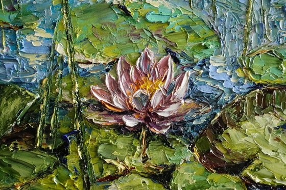 Water Lily Pond