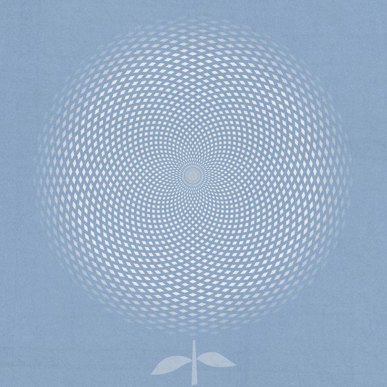 White flower on a blue background
