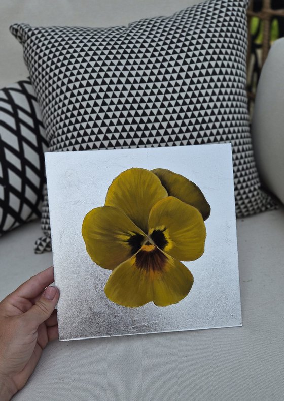 Pansy #10