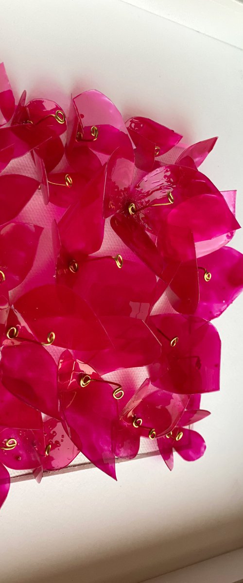 Efflorescence by Swapna Namboodiri