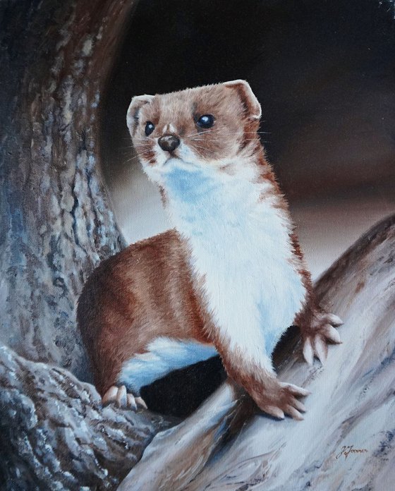 Brown Weasel 16x20