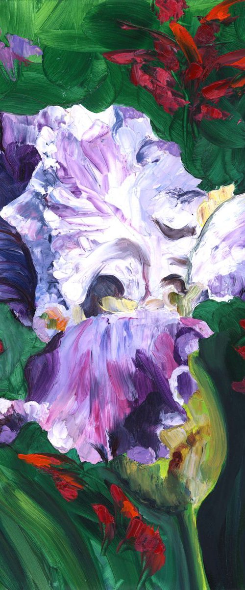 "Clarence" Iris with Lobelia & Phlox by Christina M Plichta