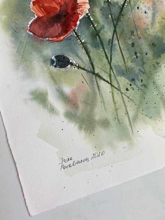 Red poppy watercolor painting original artwork gift for her home decor for kitchen