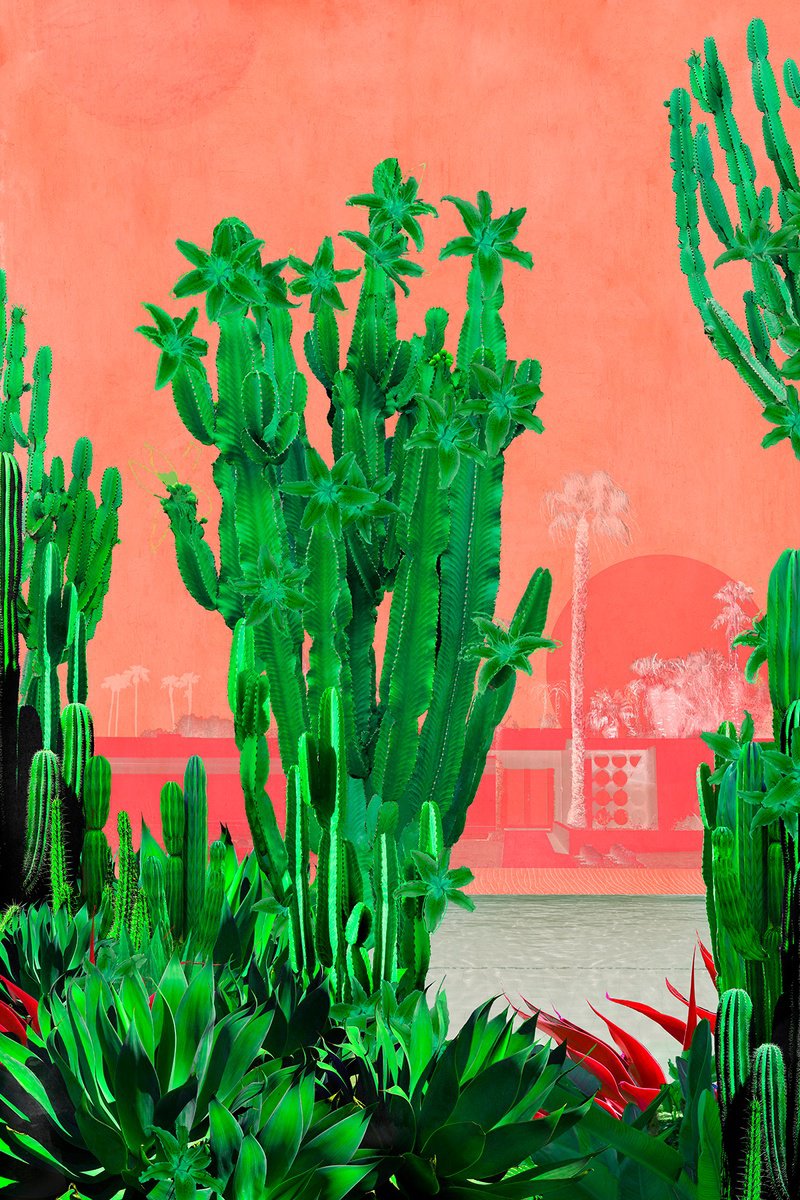 Cactus Club - Framed by Nadia Attura