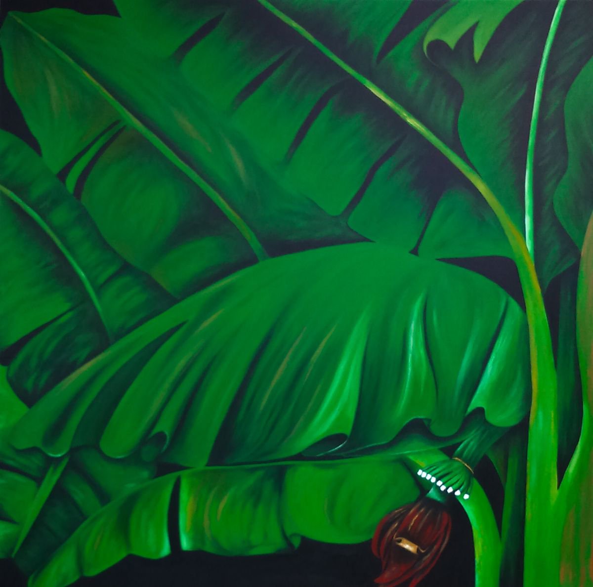 Photorealistic Botanical Acrylic Painting By Christina Bilbili, 31 X 31, Banana Tree, Original Artwork