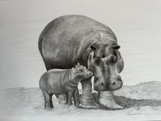 Mummy and baby hippo