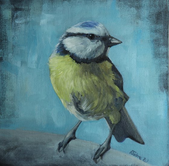 Lockdown's Morning Chorus Series - Blue Tit Triptych , Three Paintings Framed and Ready to Hang