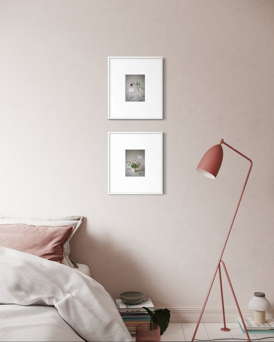 Geranium wallichchianum