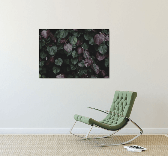 Winter leaves I | Limited Edition Fine Art Print 1 of 10 | 90 x 60 cm