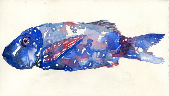 Blue fish study