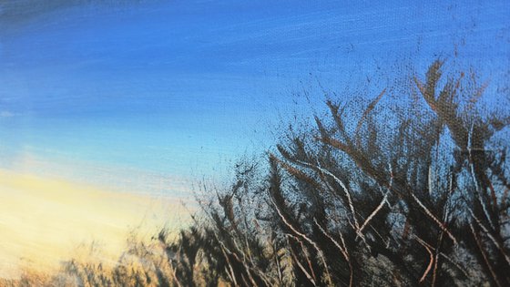 On the cold morning