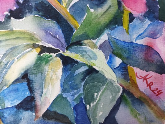 Twilight Peonies