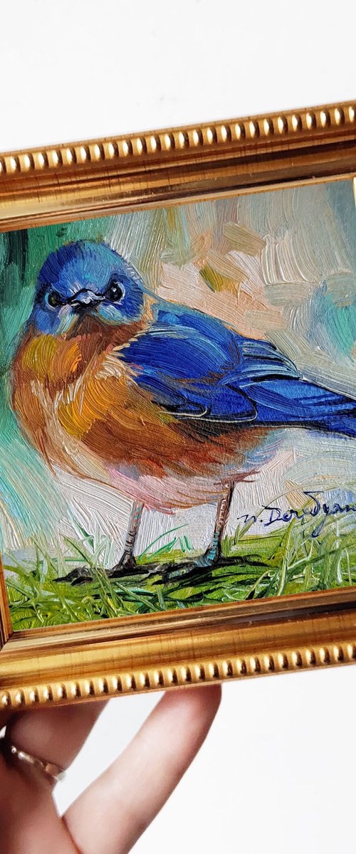 Eastern Bluebird by Nataly Derevyanko