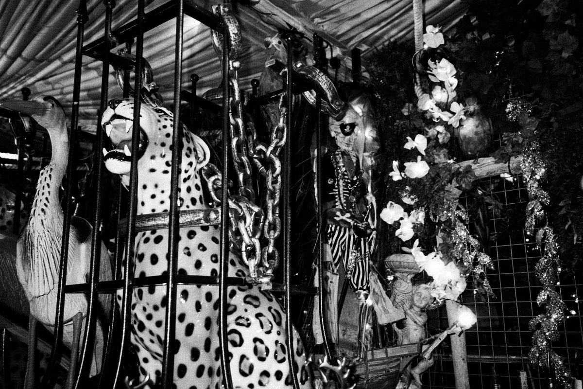 Photorealistic Portrait Photograph By Federico Arcangeli, 19 X 13, Pleasure Island #7, Original Artwork