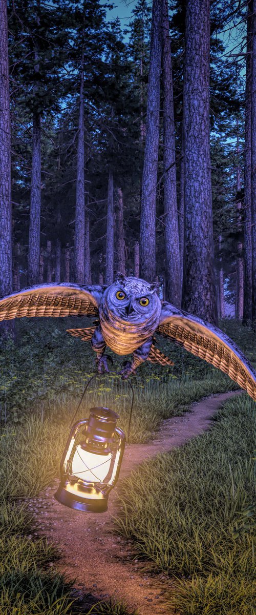 Night Owl by Tony Fowler