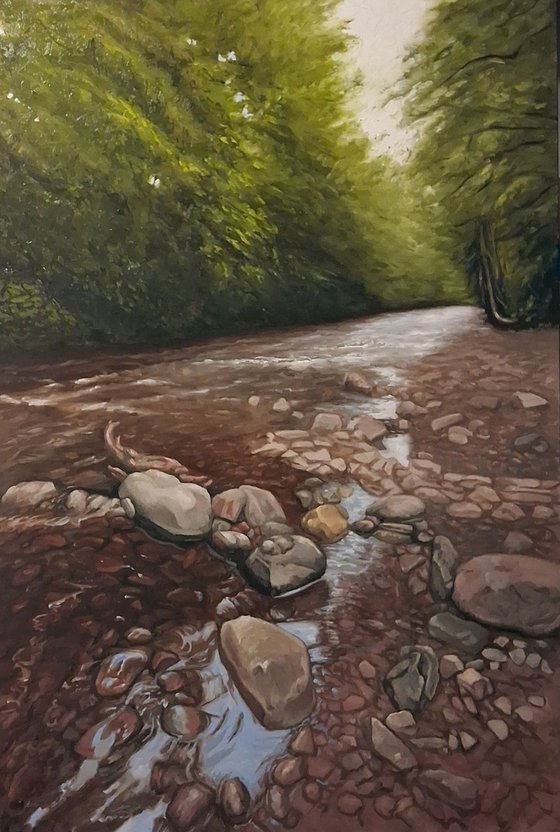 The Riverbank (River Taff)