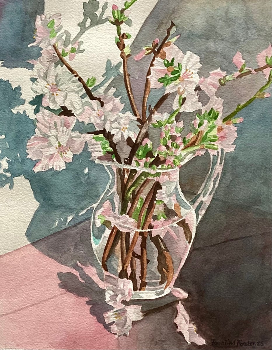 Botanical Watercolour By Rosalind Forster, 13 X 15", Almond Blossom, Original Artwork