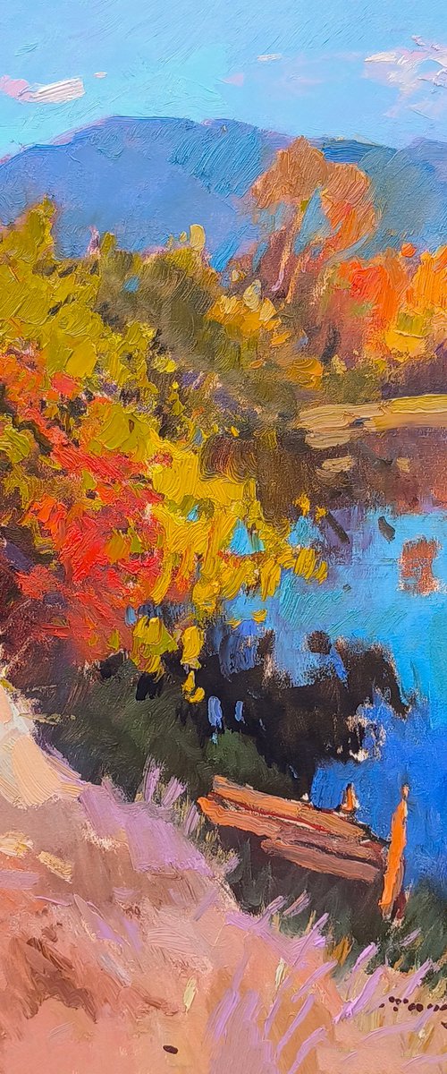 Borzhava by Alexander Shandor