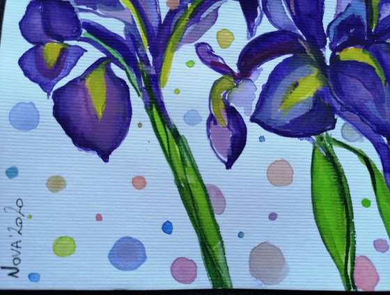 Irises