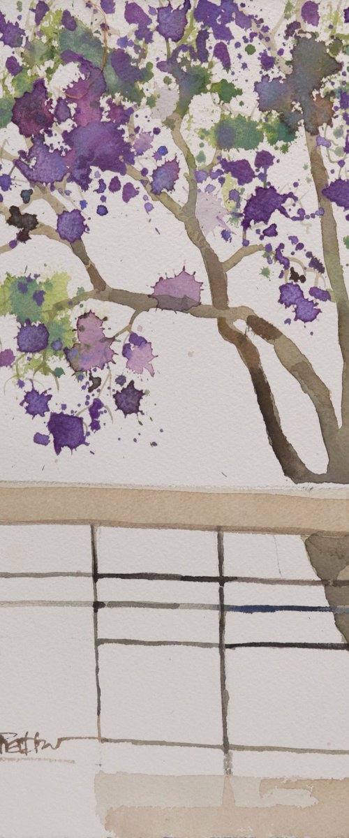 Violet blossoms by Prashant Prabhu
