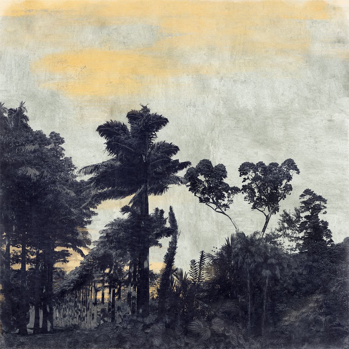 Impressionistic Landscape Photograph By Nadia Attura, 20 X 20", Kandy, Original Artwork