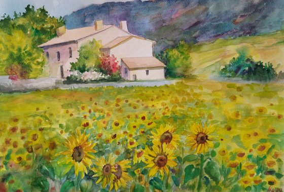 Sunflower field - Landscape - Watercolor