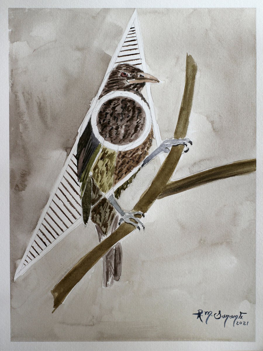 Dulus Dominicus (from the series Rhythms of birds) by Raul M. Sarante