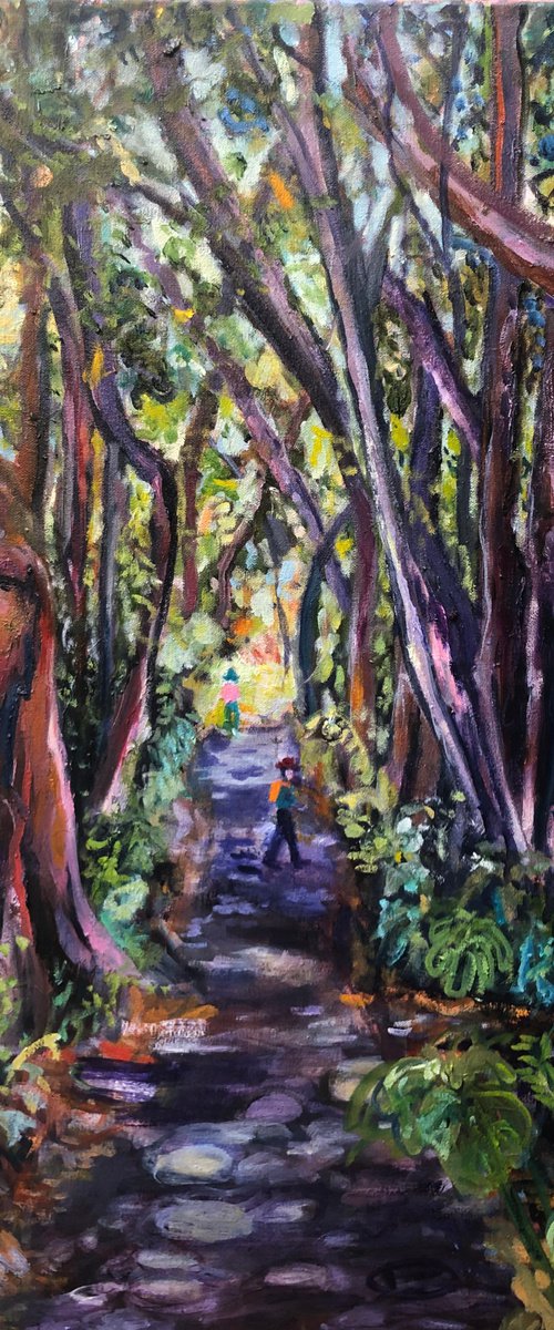 FOREST WALK - ADELAIDE BOTANIC GARDENS by Maureen Finck