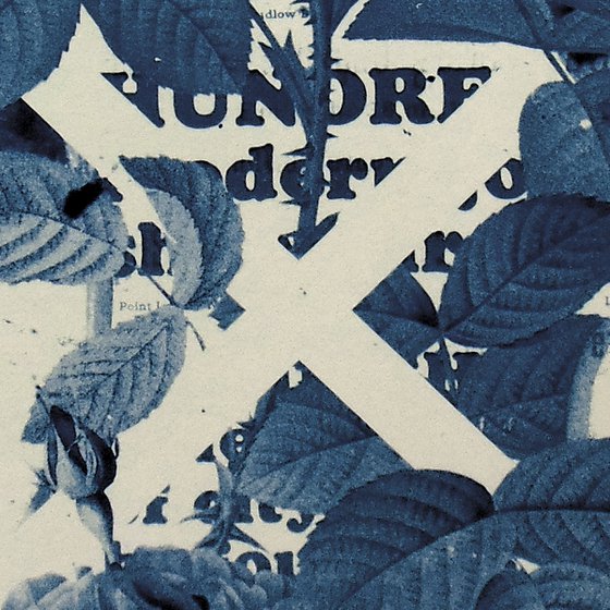 Cyanotype 08 Woman and Roses