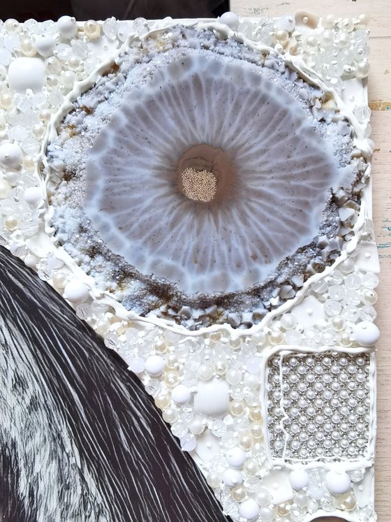 White horse in a red scarf