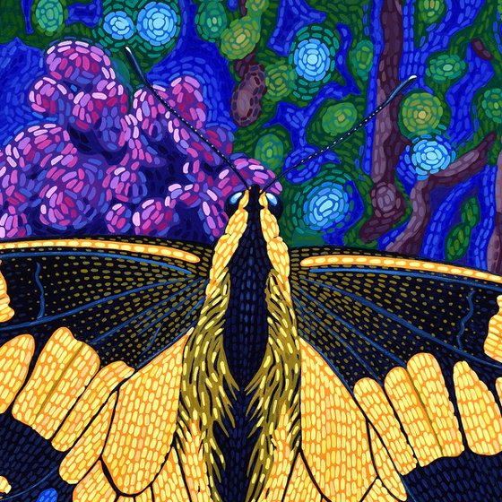 Anise Swallowtail