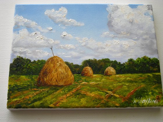 Country Hay Field Landscape