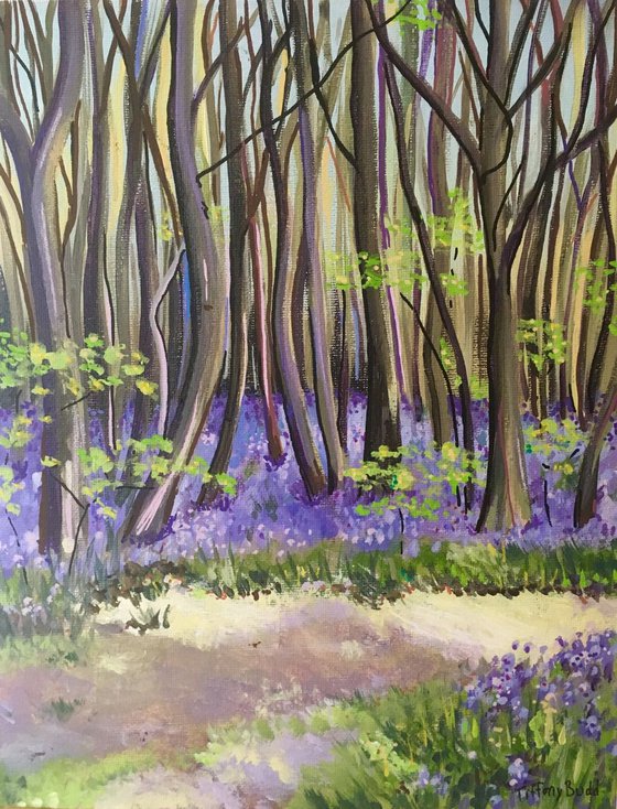 The Bluebell Woods