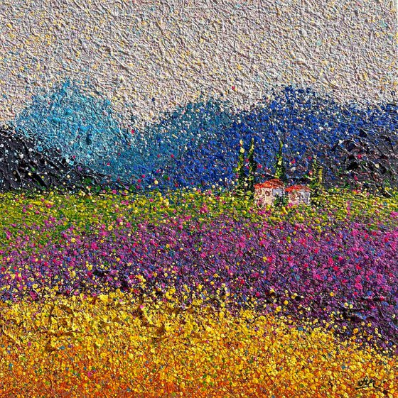 Lavender Dreams