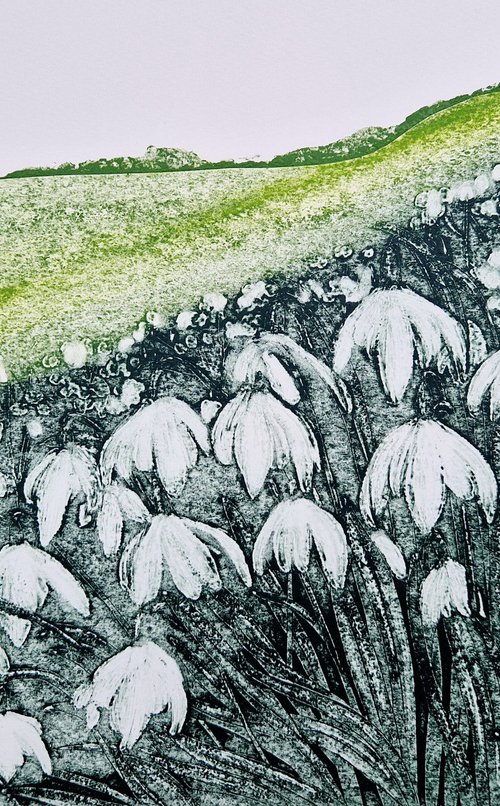 Snowdrop Hill by Jo Biggadike