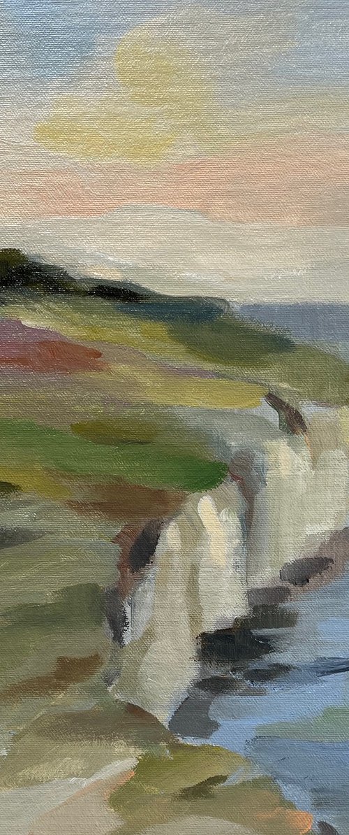Spring Seaside Cliff by Silvia  Vassileva
