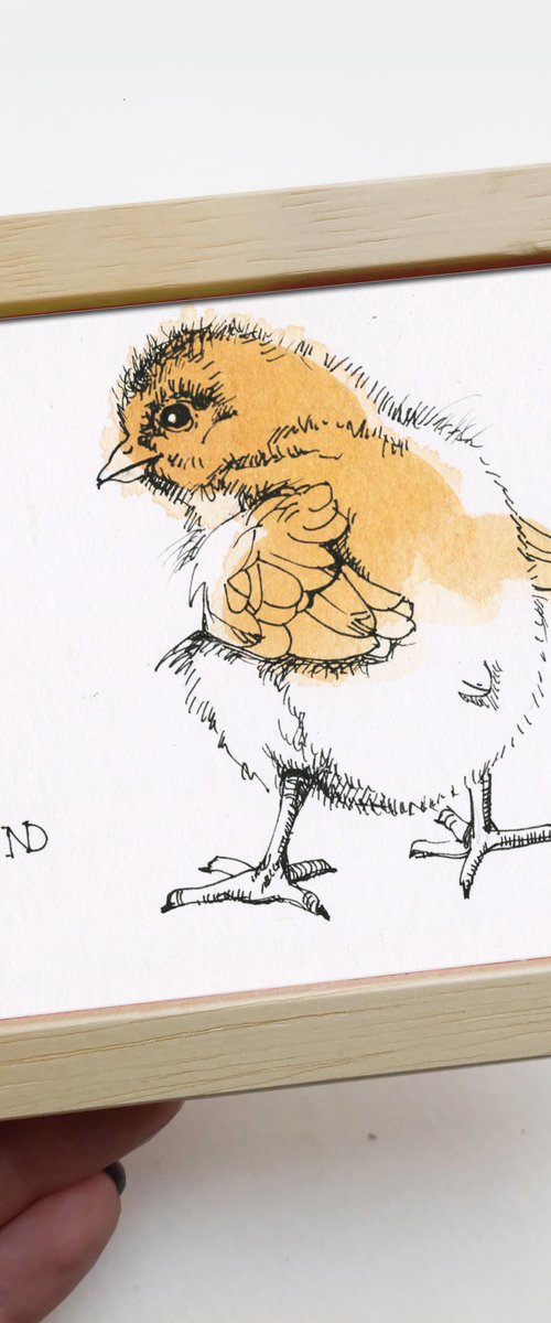 Baby chicken by Nataly Derevyanko