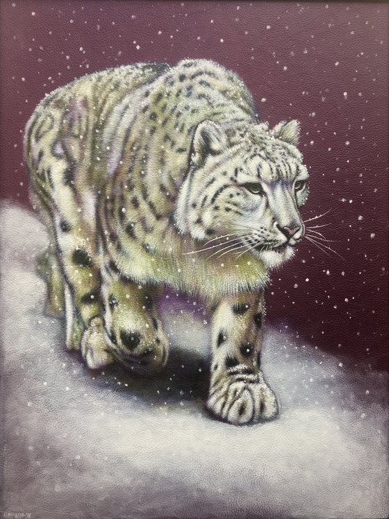 Snow Leopard Grace