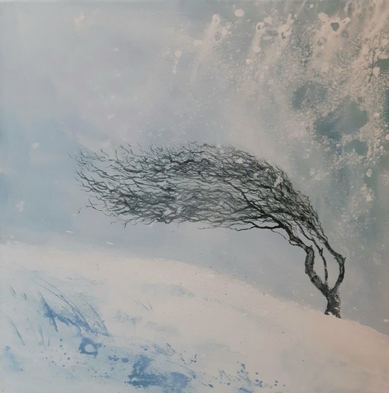 Windswept Tree Snowstorm