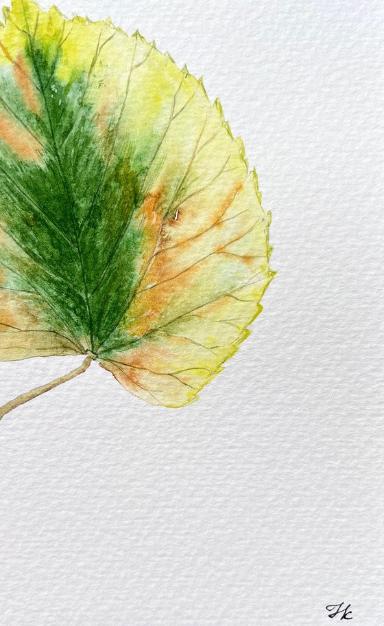 Autumn leaf Sketch #2
