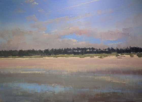 SALE PRICE Holkham trees afternoon light