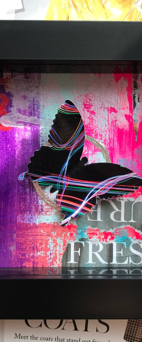 Mini Beauty  No11 - Abstract Butterfly in Box by Hernan Reinoso