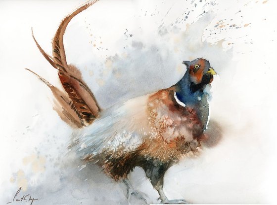 The Pheasant watercolor painting