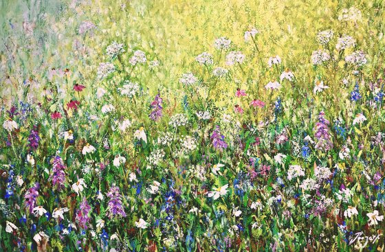 From Spring to The Summer