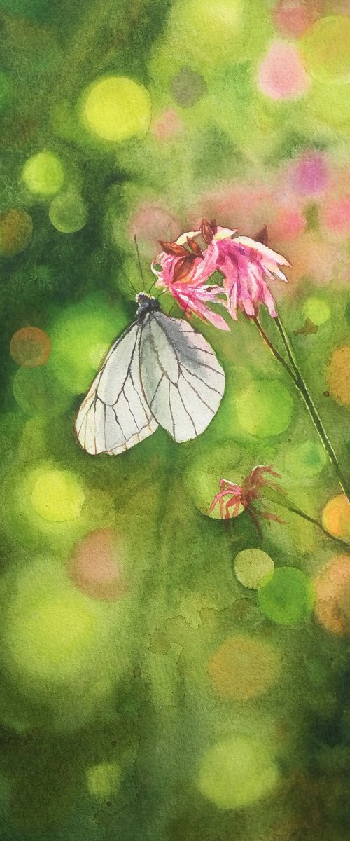 Butterfly and Flowers Watercol by Olga Beliaeva Watercolour