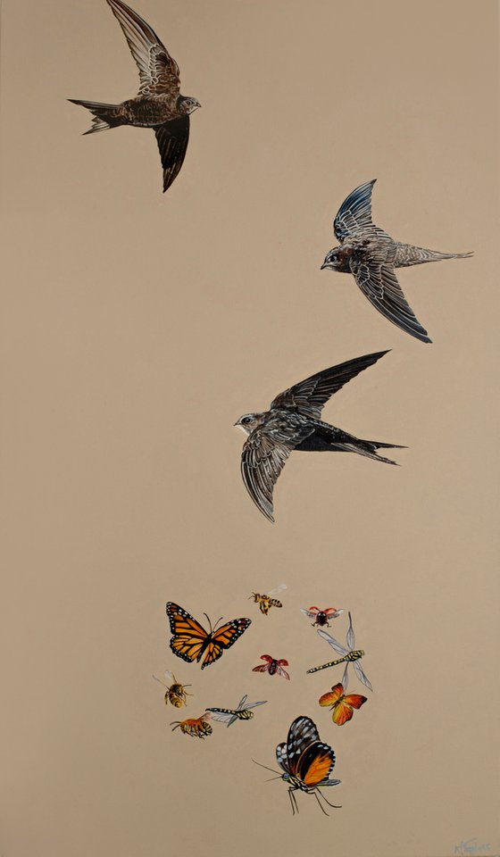 Rapid Swifts