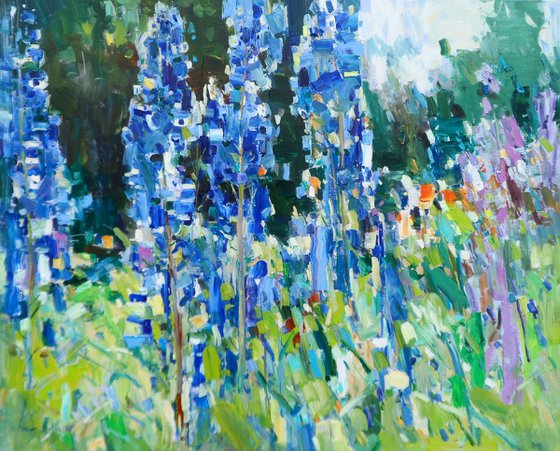 " Lupines in my garden"