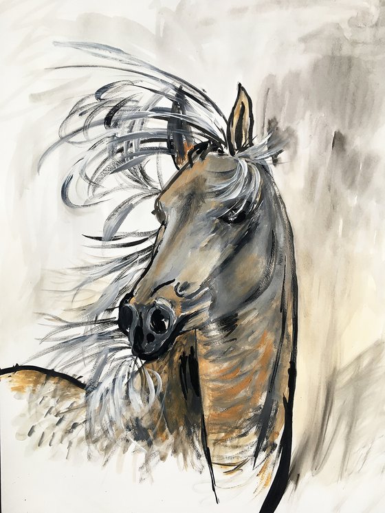 horse portrait