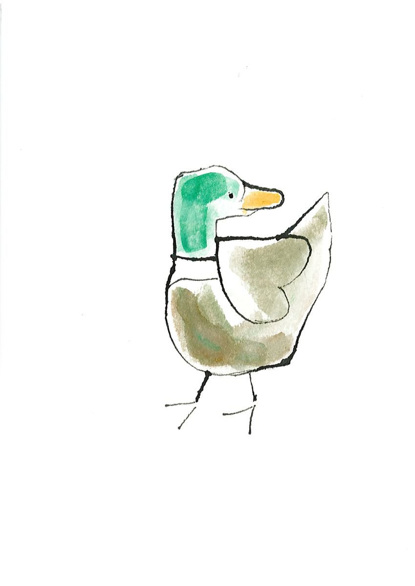 Best of Duck by Gavin Dobson